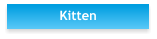 Kitten