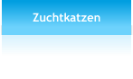 Zuchtkatzen