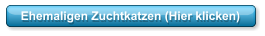 Ehemaligen Zuchtkatzen (Hier klicken)